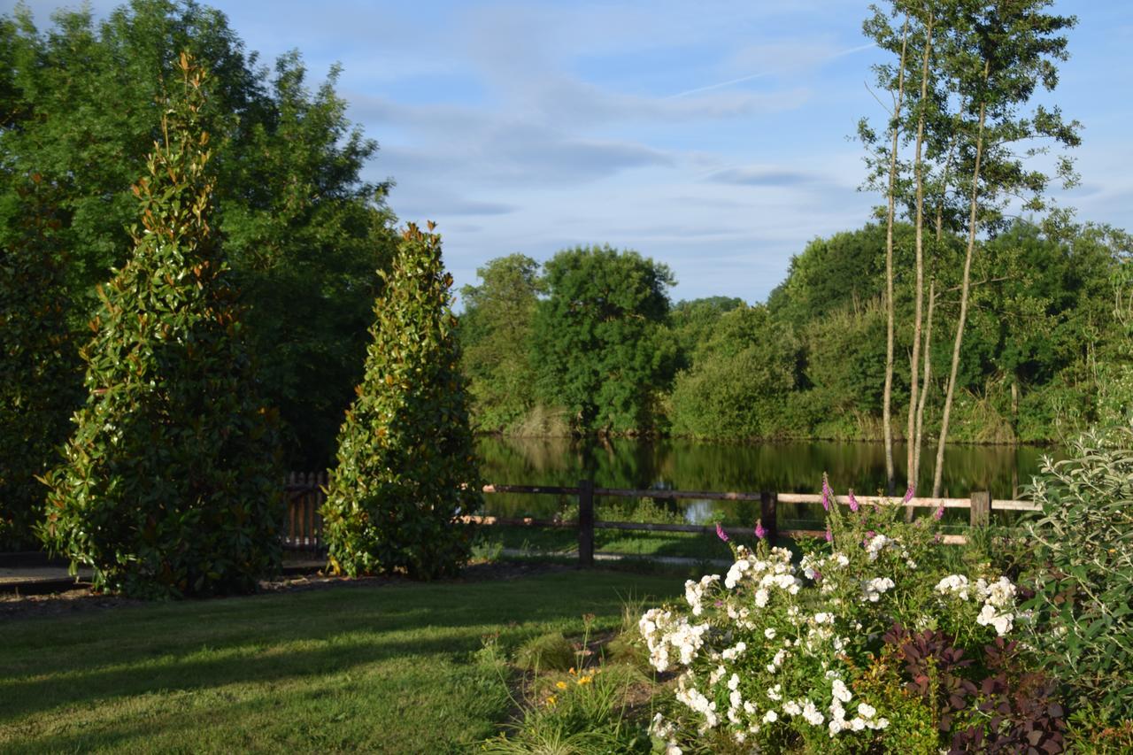 Bed and Breakfast La Francoisiere Loigné-sur-Mayenne Zewnętrze zdjęcie