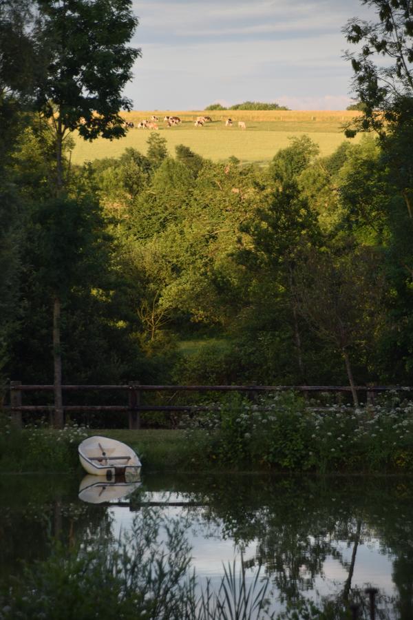Bed and Breakfast La Francoisiere Loigné-sur-Mayenne Zewnętrze zdjęcie